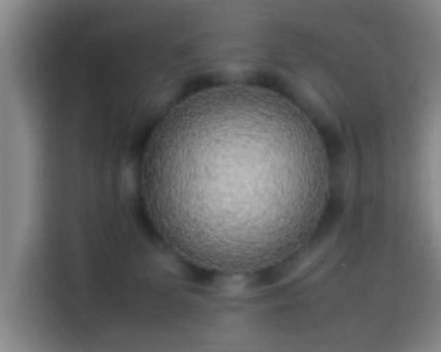 X0000113930131200910021250