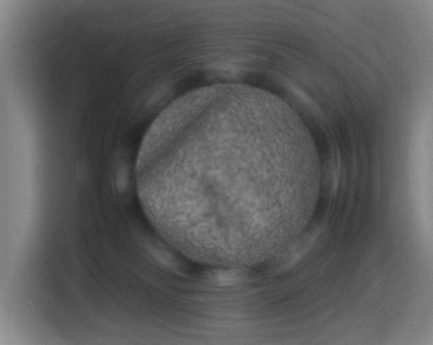 X0000113930134200910021250