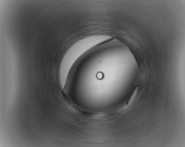 X0000113930136200910021250