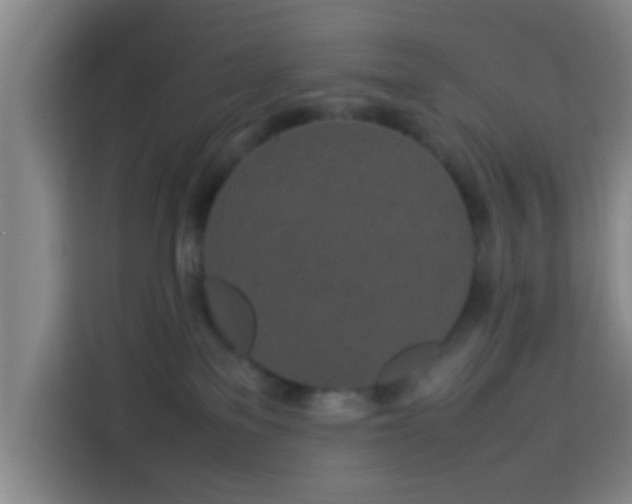 X0000113930137200910021250