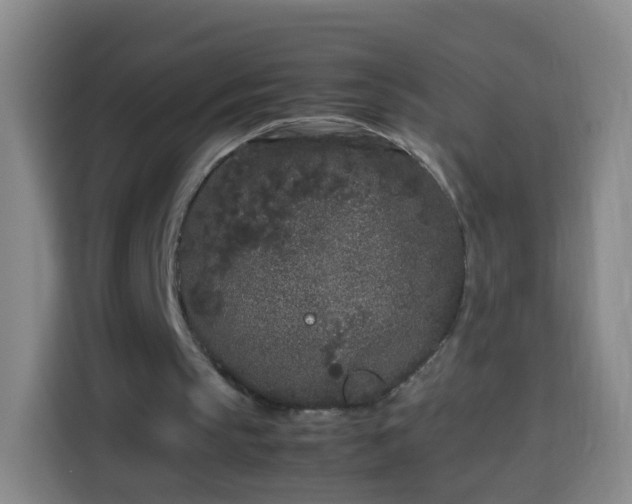 X0000113930145200910021249