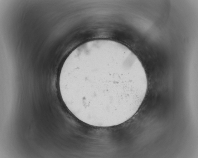 X0000113930146200910021249