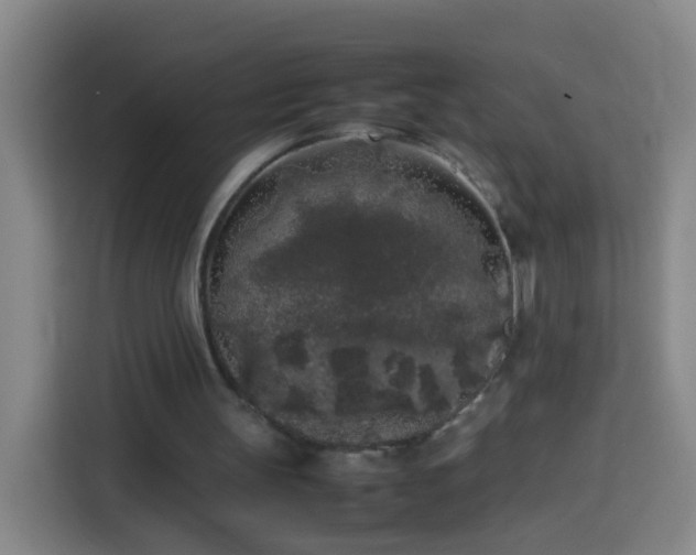 X0000113930147200910021249