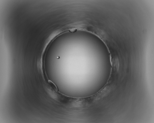 X0000113930148200910021249