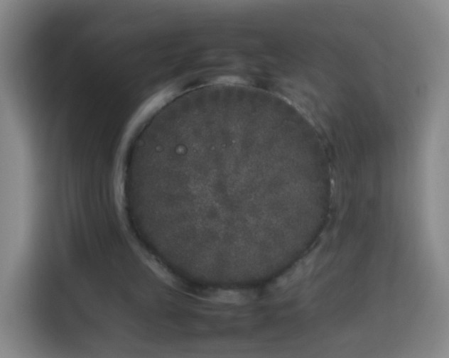 X0000113930149200910021249