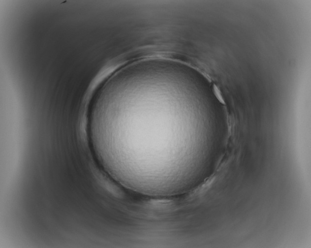 X0000113930150200910021249