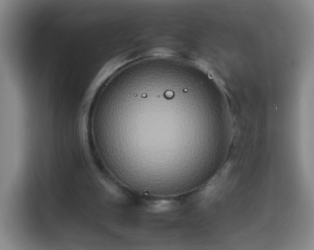 X0000113930151200910021249