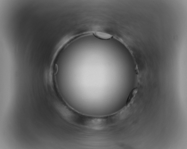 X0000113930152200910021249