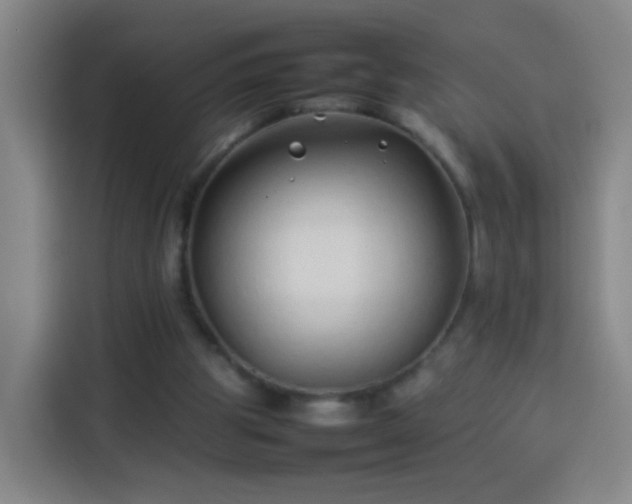 X0000113930153200910021249