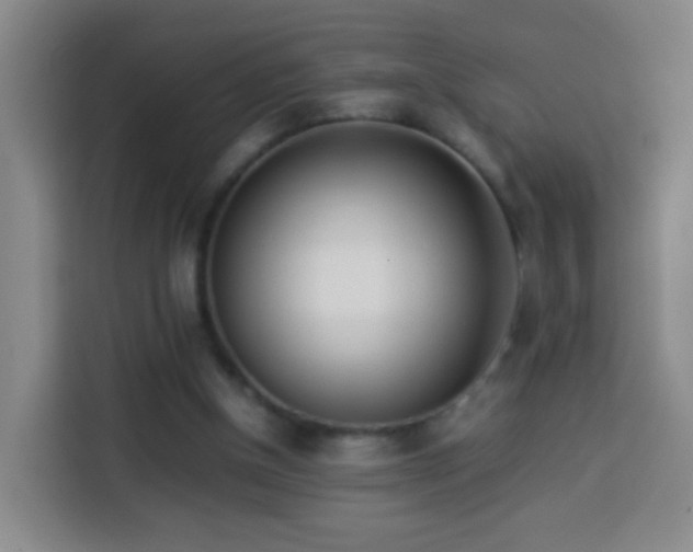 X0000113930154200910021249