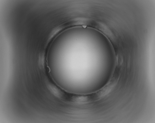 X0000113930156200910021249