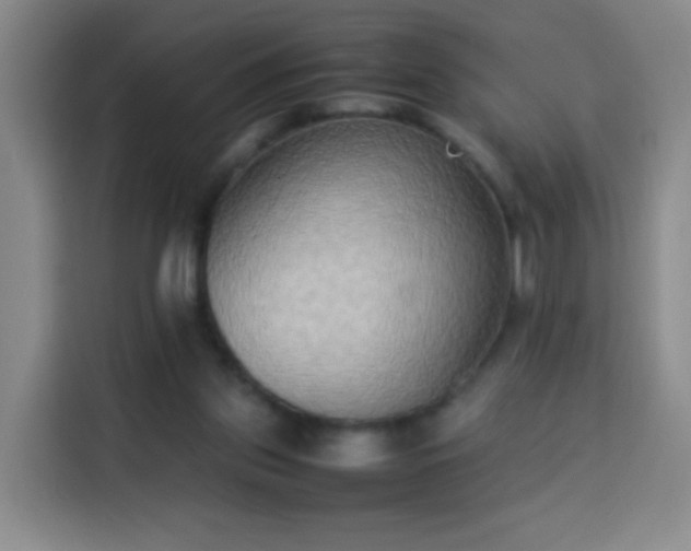 X0000113930157200910021249