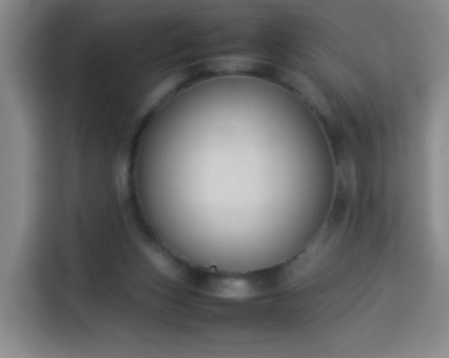 X0000113930159200910021249