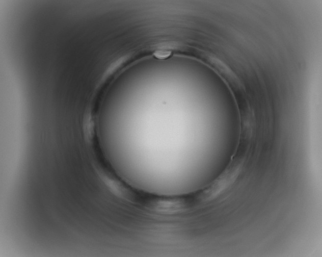 X0000113930160200910021249