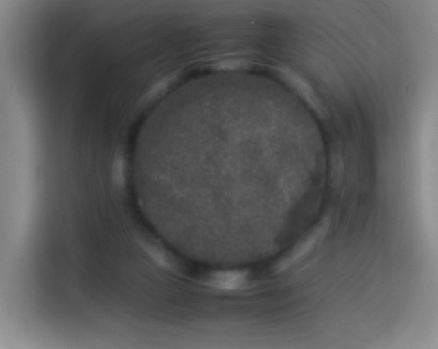 X0000113930161200910021249