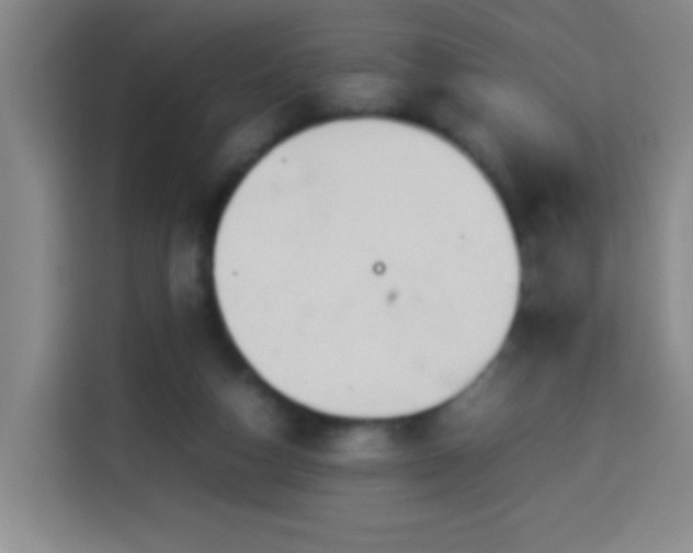 X0000113930162200910021249