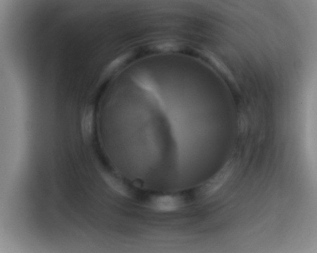 X0000113930163200910021249