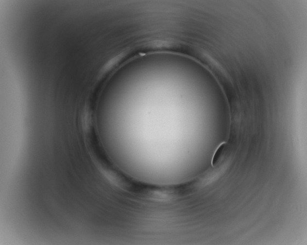 X0000113930164200910021249