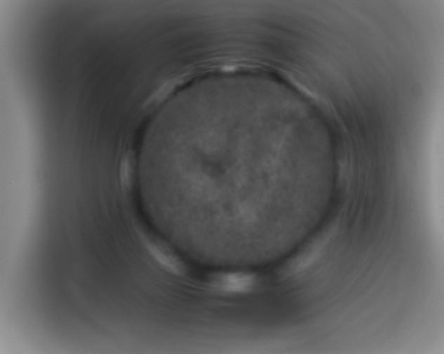 X0000113930165200910021249