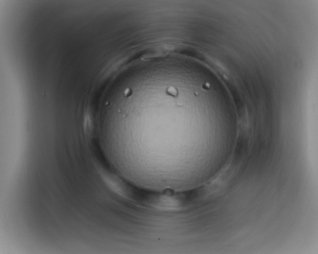 X0000113930166200910021249