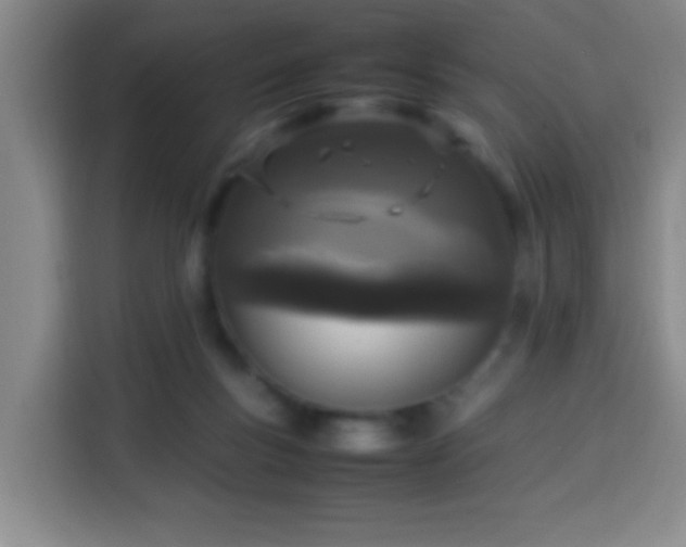 X0000113930167200910021249