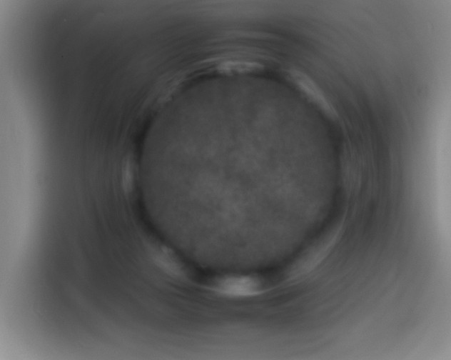 X0000113930169200910021249