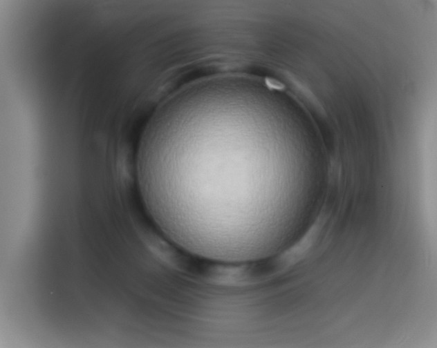 X0000113930170200910021249