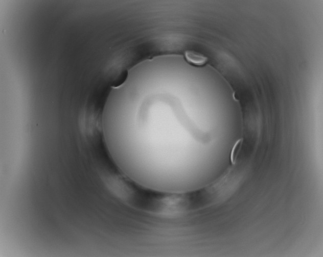 X0000113930172200910021249