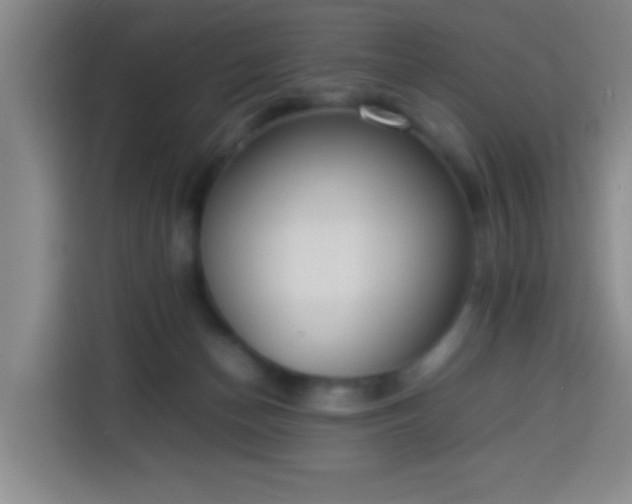 X0000113930174200910021249