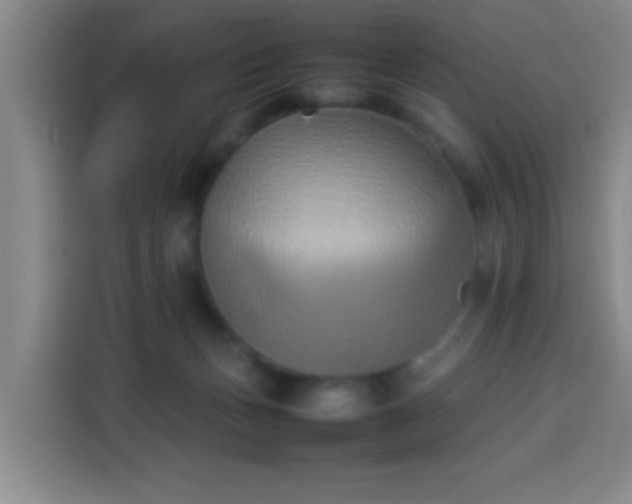 X0000113930175200910021249