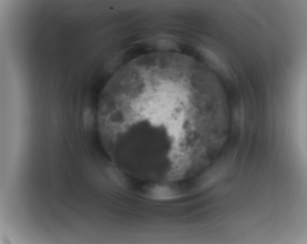 X0000113930177200910021249