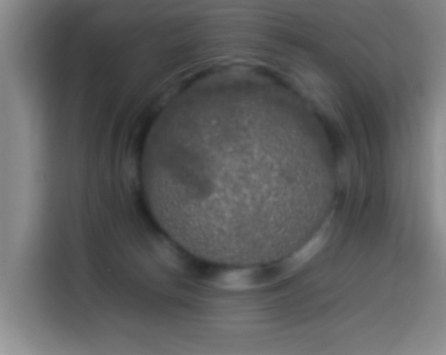 X0000113930178200910021249