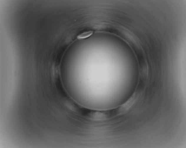 X0000113930180200910021249