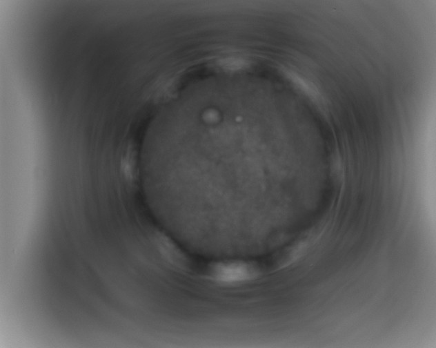 X0000113930181200910021249