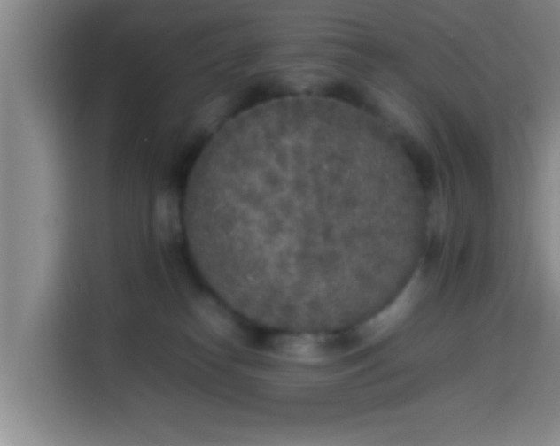 X0000113930182200910021249