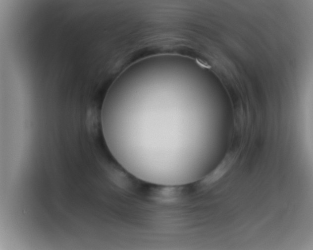 X0000113930184200910021249