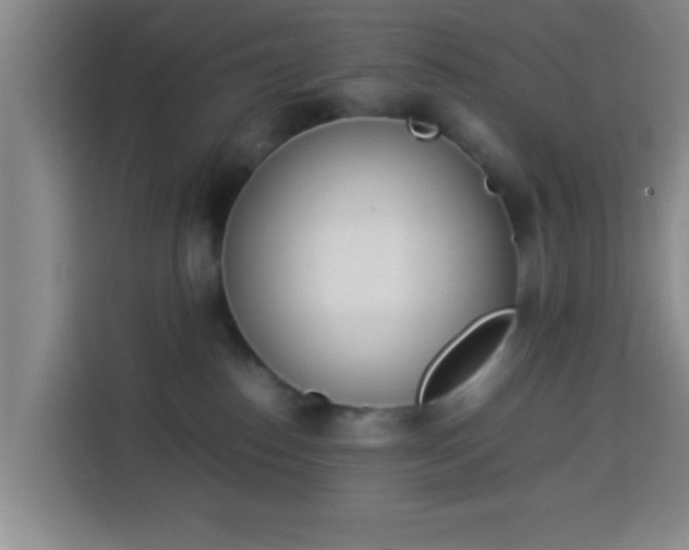 X0000113930186200910021249