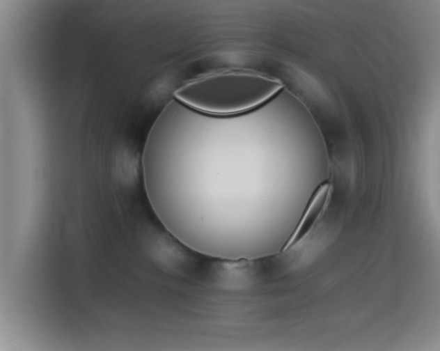 X0000113930188200910021250