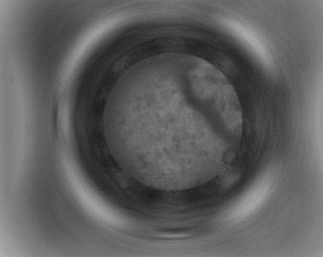 X0000113930189200910021250