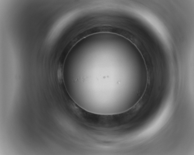 X0000113930190200910021250