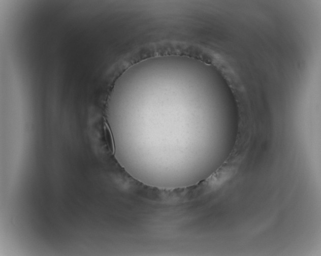 X0000113930192200910021250