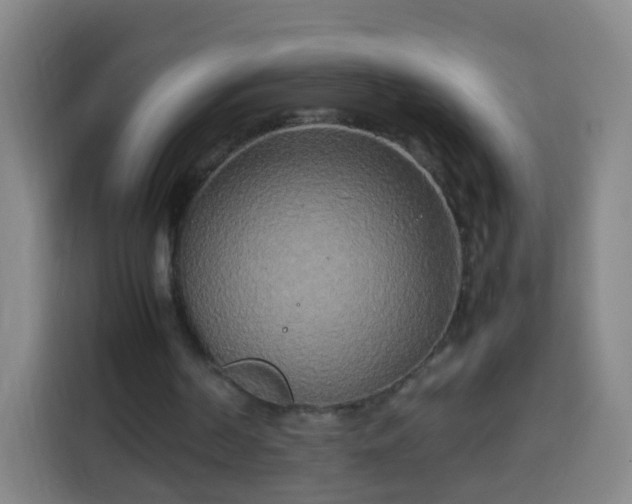 X0000113930194200910021249