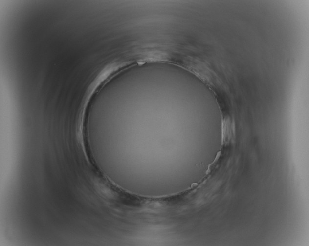 X0000113930195200910021249