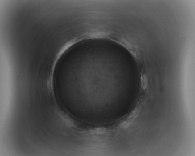 X0000113930196200910021249