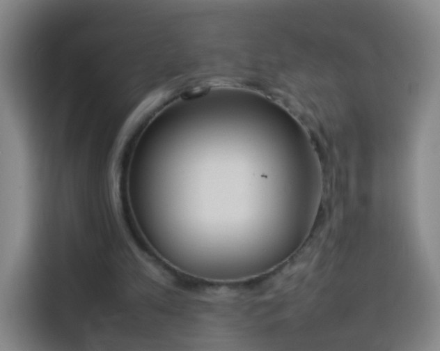 X0000113930197200910021249