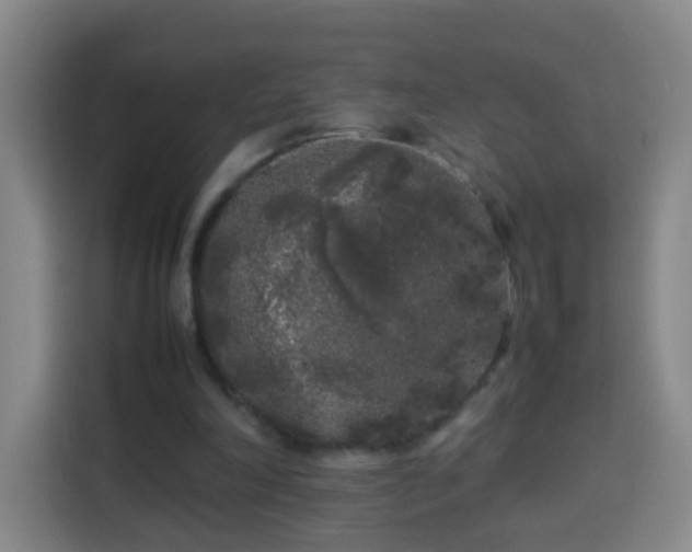 X0000113930198200910021249