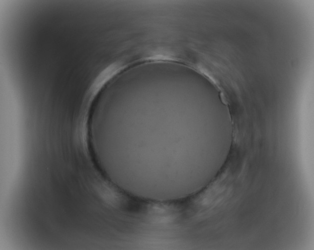 X0000113930199200910021249