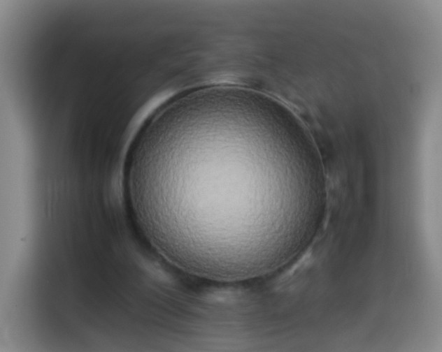 X0000113930200200910021249