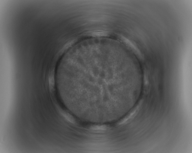 X0000113930202200910021249