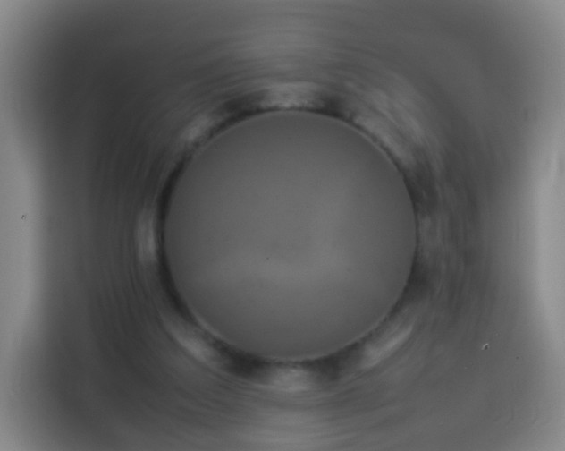 X0000113930203200910021249